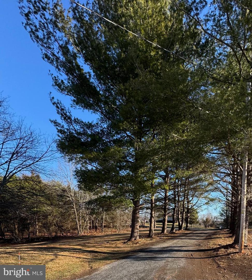 226 PEACH GROVE LN, CLEAR BROOK, Virginia 22624, 3 Bedrooms Bedrooms, ,3 BathroomsBathrooms,Residential,For sale,226 PEACH GROVE LN,VAFV2038796 MLS # VAFV2038796