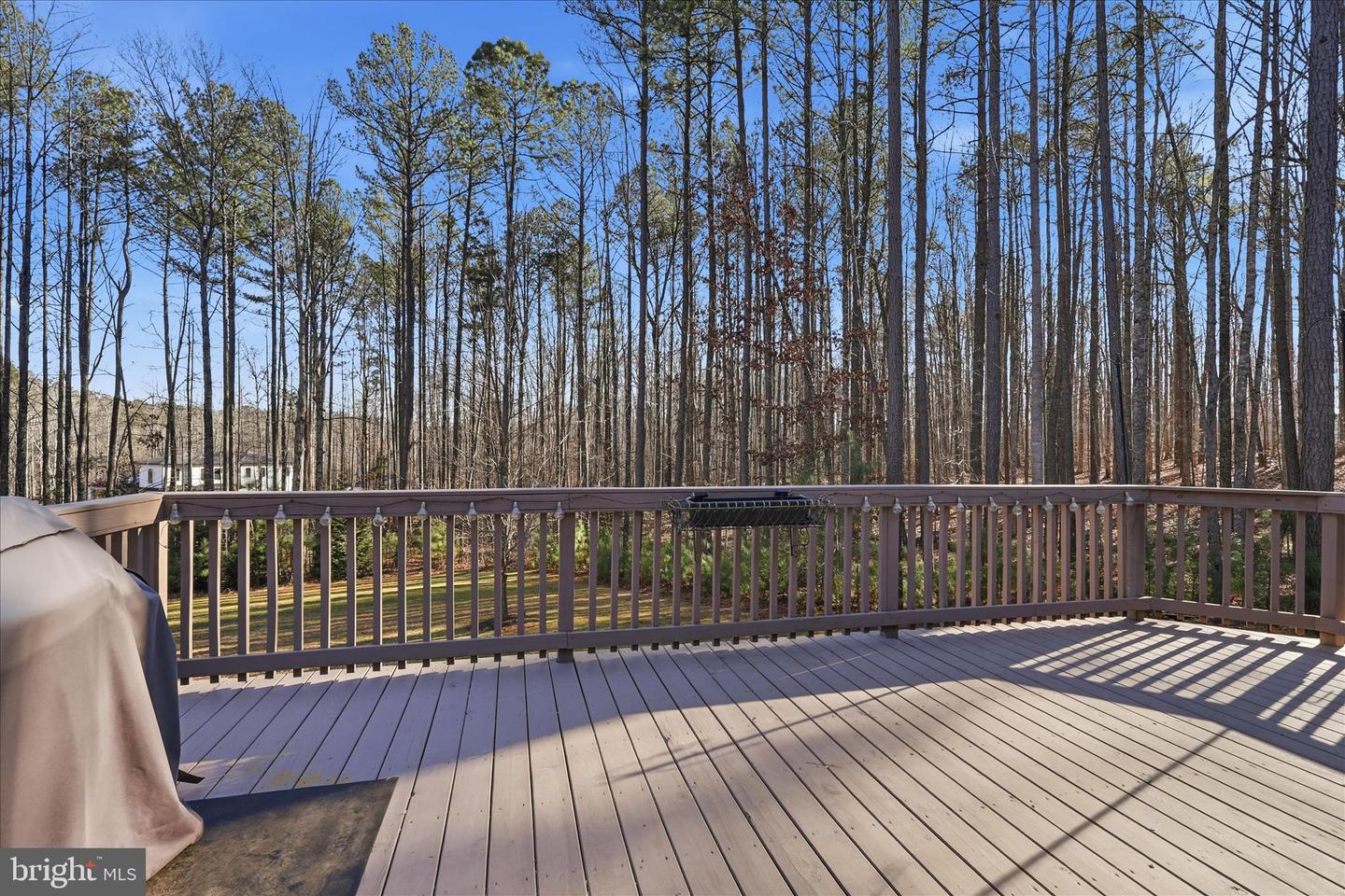 157 RODERICK PL, MINERAL, Virginia 23117, 4 Bedrooms Bedrooms, 12 Rooms Rooms,3 BathroomsBathrooms,Residential,For sale,157 RODERICK PL,VALA2009144 MLS # VALA2009144