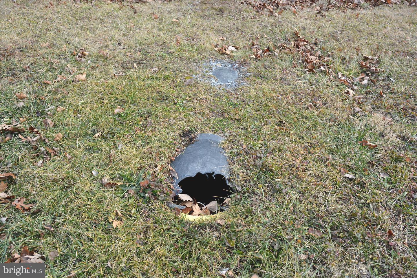 1970 BACK CREEK, GORE, Virginia 22637, ,Land,For sale,1970 BACK CREEK,VAFV2039032 MLS # VAFV2039032