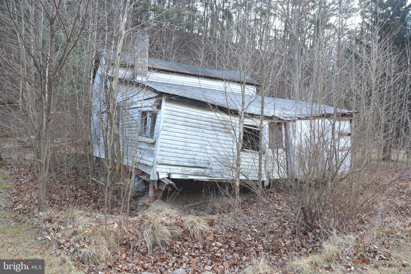 1970 BACK CREEK, GORE, Virginia 22637, ,Land,For sale,1970 BACK CREEK,VAFV2039032 MLS # VAFV2039032