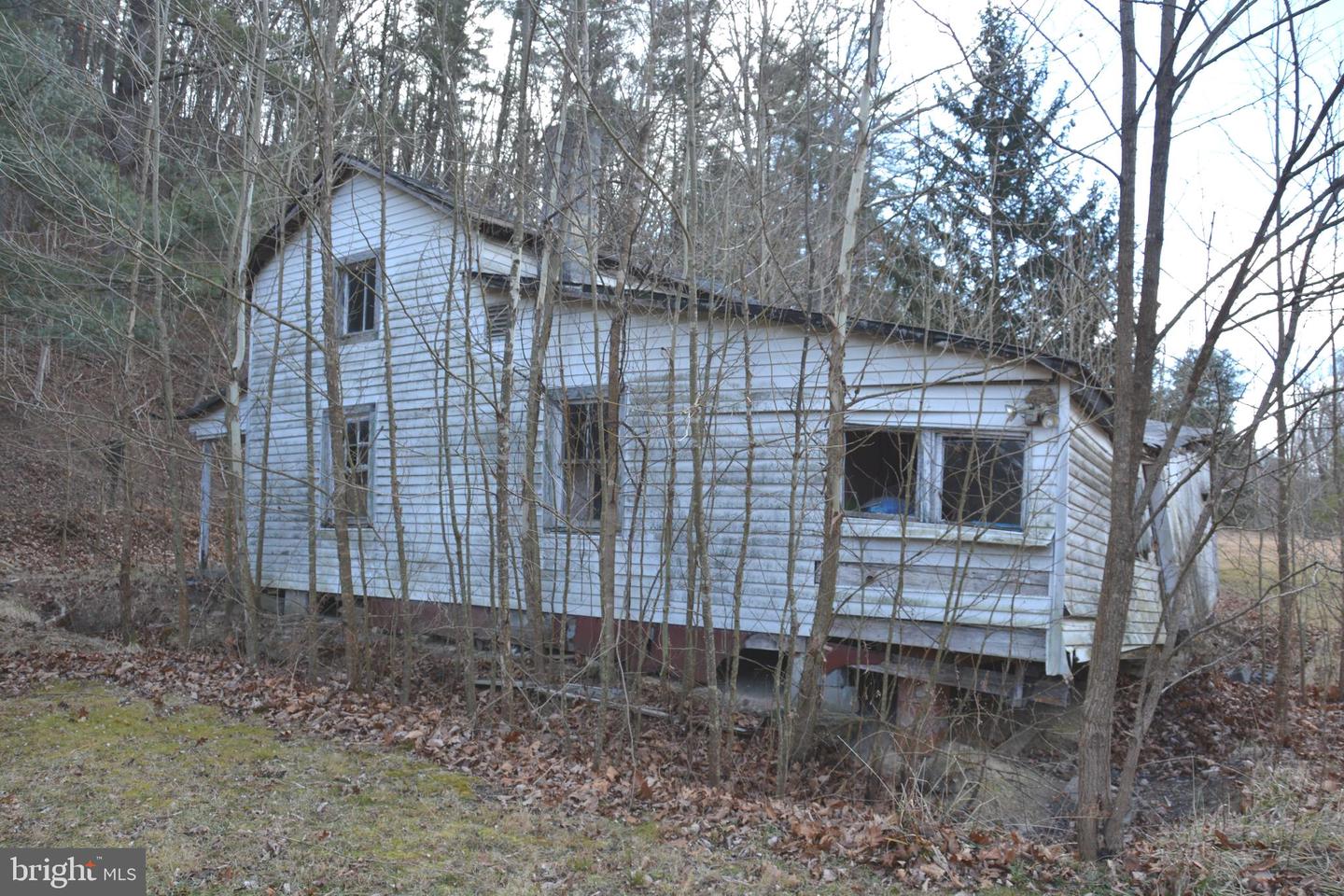 1970 BACK CREEK, GORE, Virginia 22637, ,Land,For sale,1970 BACK CREEK,VAFV2039032 MLS # VAFV2039032