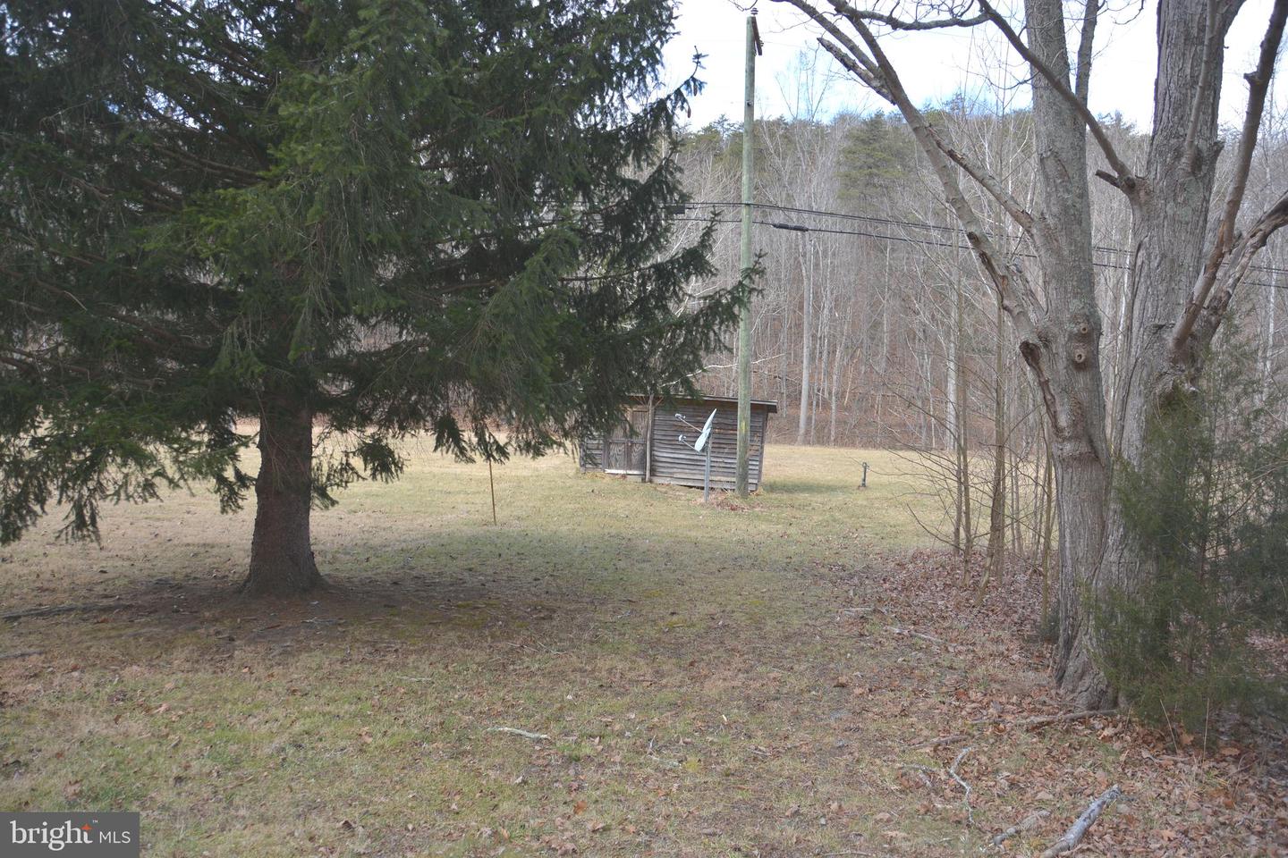 1970 BACK CREEK, GORE, Virginia 22637, ,Land,For sale,1970 BACK CREEK,VAFV2039032 MLS # VAFV2039032