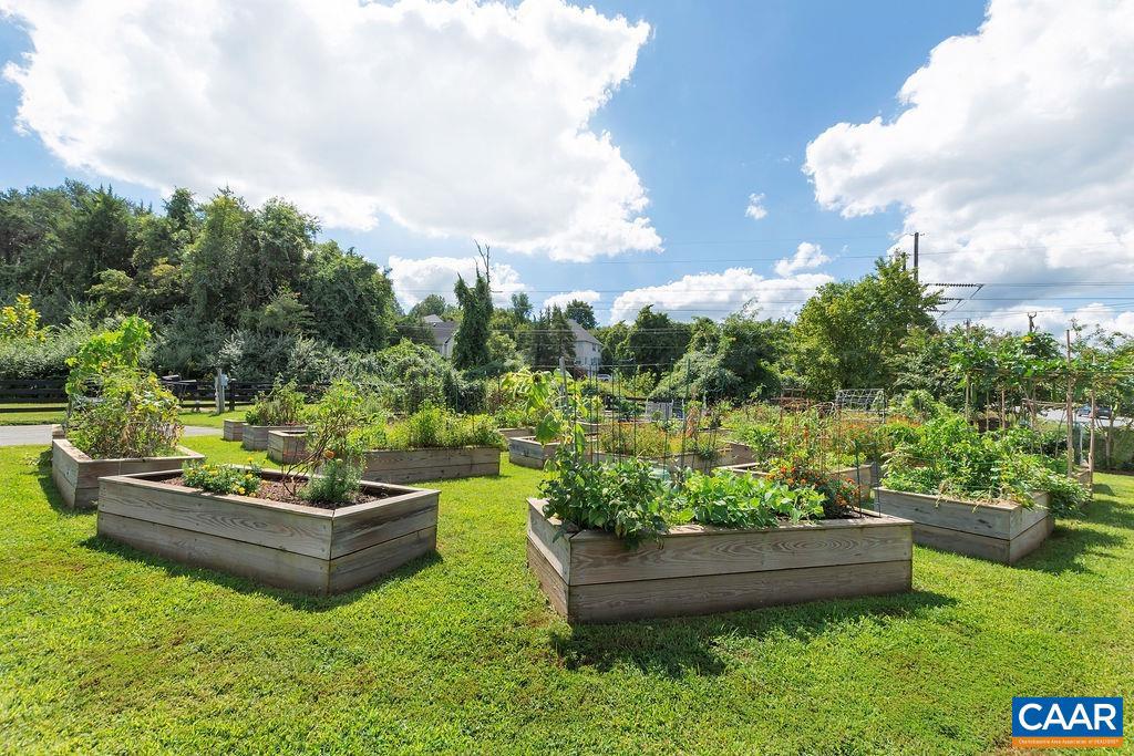 1516 DELPHI LN, CHARLOTTESVILLE, Virginia 22911, 4 Bedrooms Bedrooms, ,3 BathroomsBathrooms,Residential,For sale,1516 DELPHI LN,672511 MLS # 672511