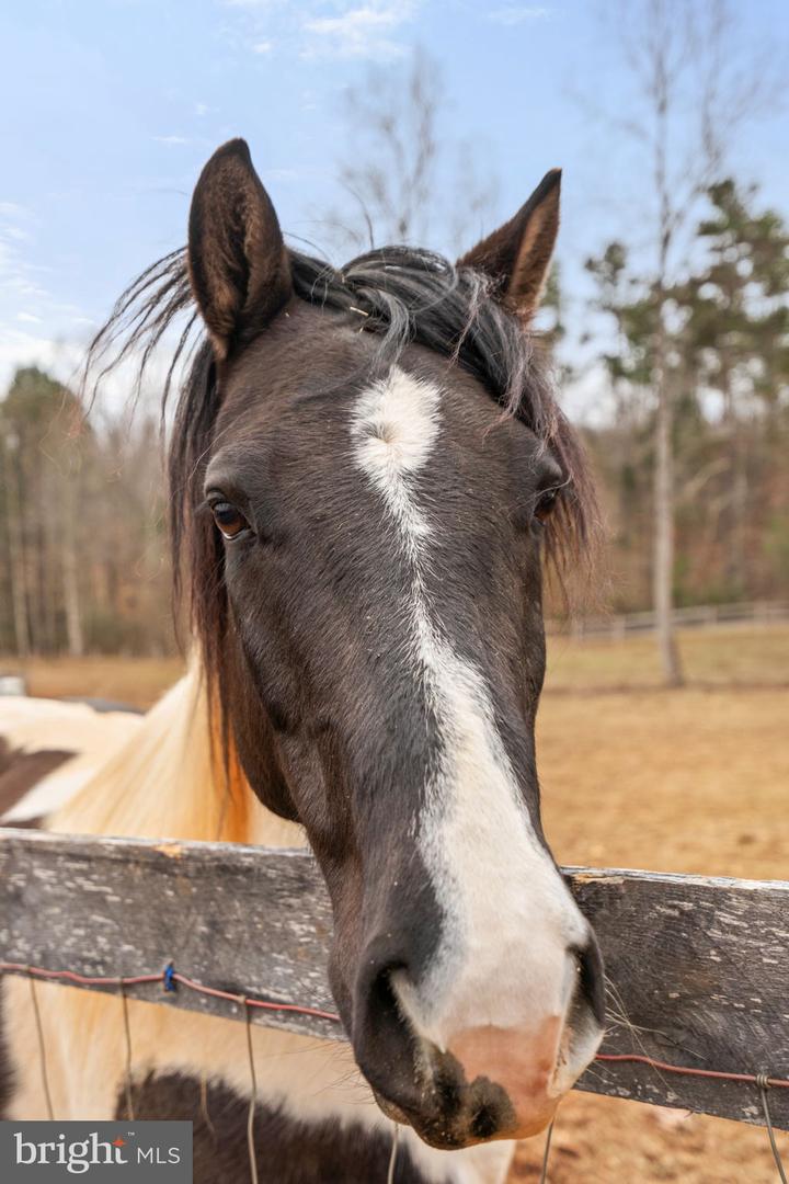 10211 LAUREL RDG, CULPEPER, Virginia 22701, 3 Bedrooms Bedrooms, ,2 BathroomsBathrooms,Residential,For sale,10211 LAUREL RDG,VACU2012442 MLS # VACU2012442