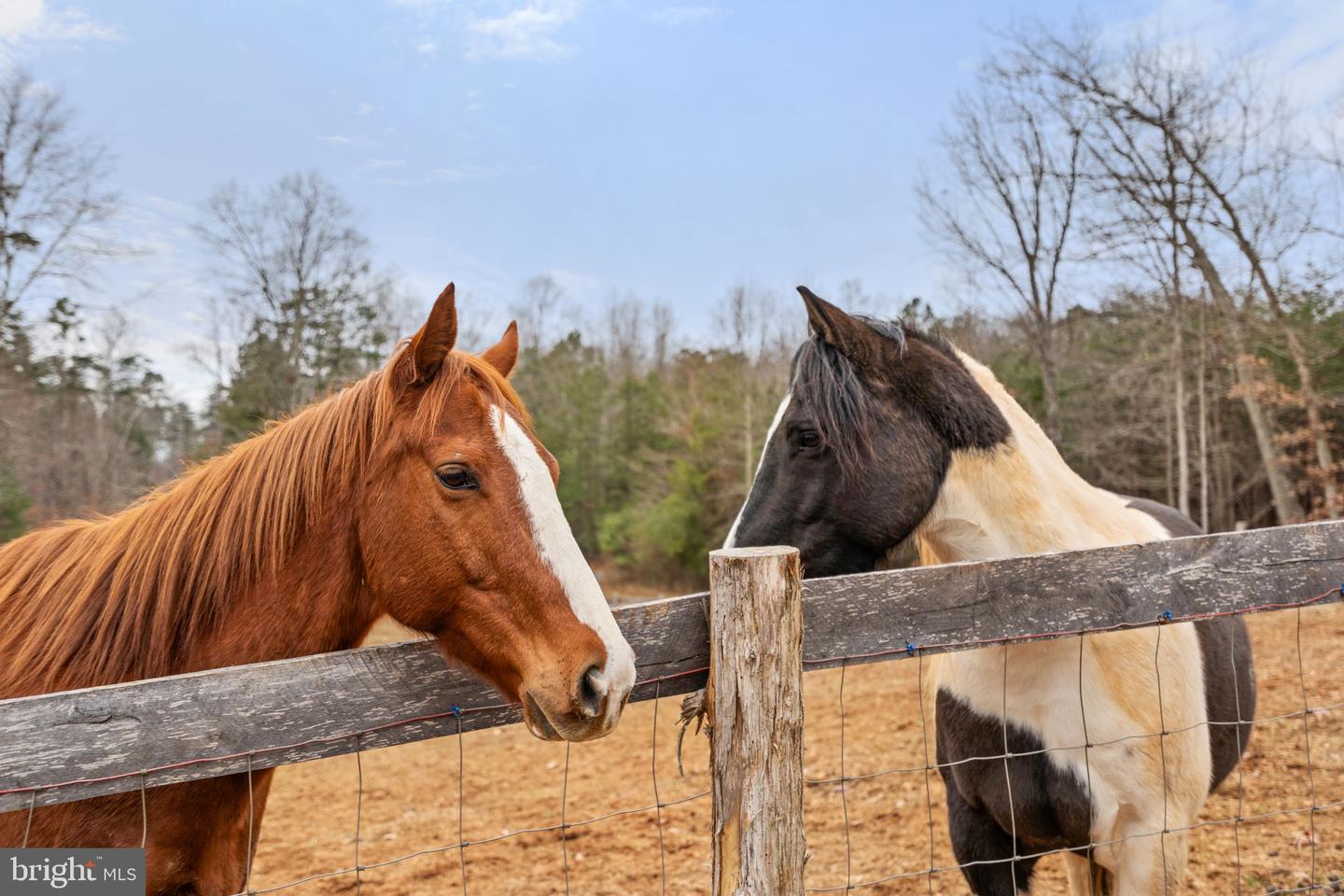 10211 LAUREL RDG, CULPEPER, Virginia 22701, 3 Bedrooms Bedrooms, ,2 BathroomsBathrooms,Residential,For sale,10211 LAUREL RDG,VACU2012442 MLS # VACU2012442