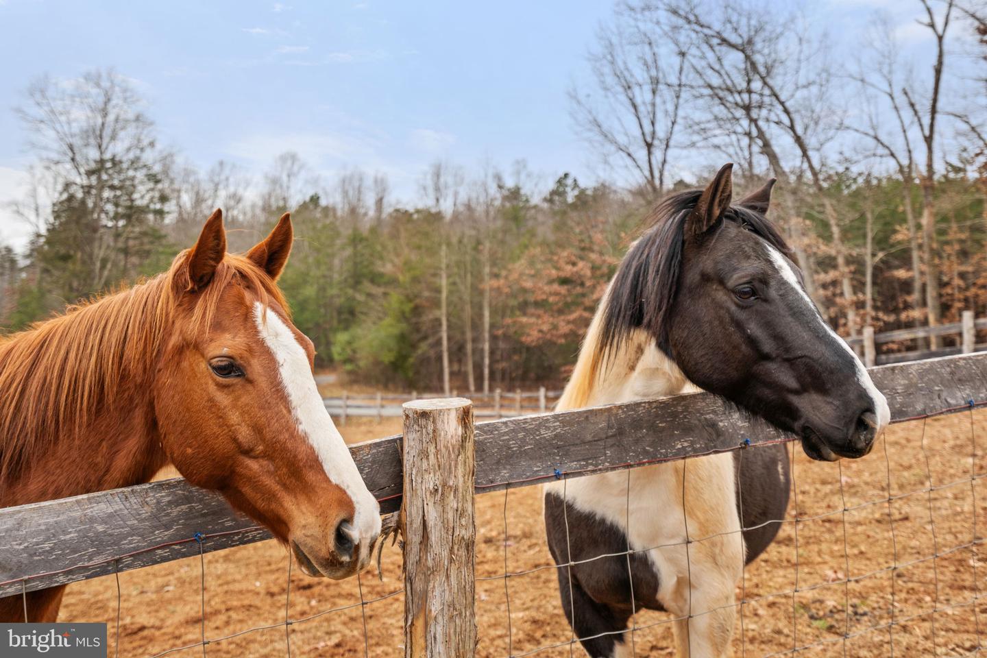 10211 LAUREL RDG, CULPEPER, Virginia 22701, 3 Bedrooms Bedrooms, ,2 BathroomsBathrooms,Residential,For sale,10211 LAUREL RDG,VACU2012442 MLS # VACU2012442