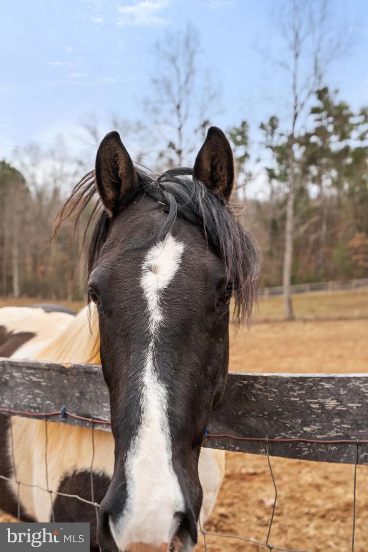 10211 LAUREL RDG, CULPEPER, Virginia 22701, 3 Bedrooms Bedrooms, ,2 BathroomsBathrooms,Residential,For sale,10211 LAUREL RDG,VACU2012442 MLS # VACU2012442