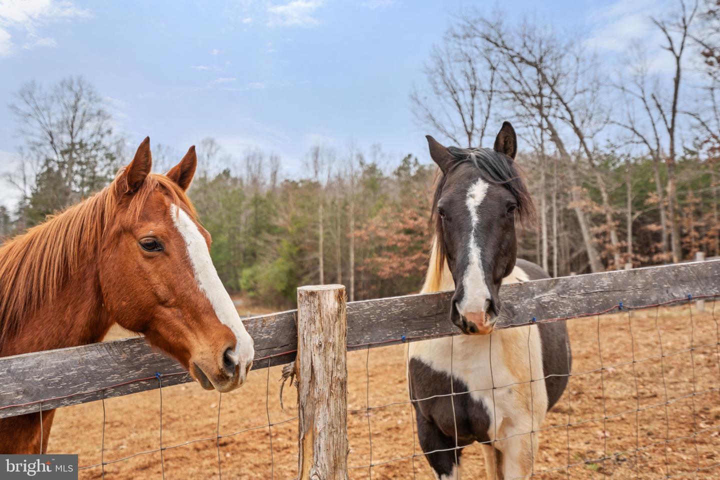 10211 LAUREL RDG, CULPEPER, Virginia 22701, 3 Bedrooms Bedrooms, ,2 BathroomsBathrooms,Residential,For sale,10211 LAUREL RDG,VACU2012442 MLS # VACU2012442