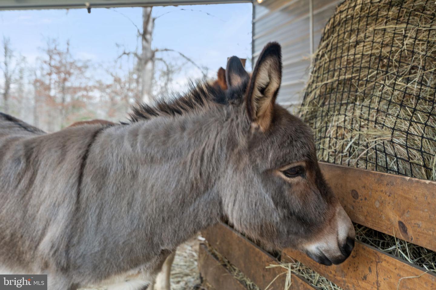 10211 LAUREL RDG, CULPEPER, Virginia 22701, 3 Bedrooms Bedrooms, ,2 BathroomsBathrooms,Residential,For sale,10211 LAUREL RDG,VACU2012442 MLS # VACU2012442