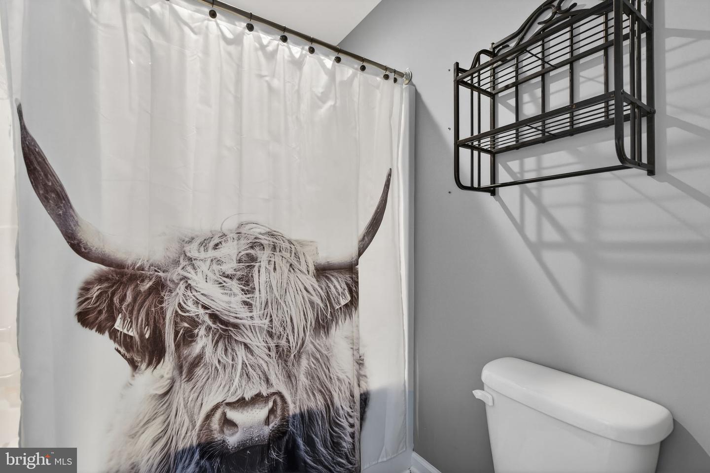 10211 LAUREL RDG, CULPEPER, Virginia 22701, 3 Bedrooms Bedrooms, ,2 BathroomsBathrooms,Residential,For sale,10211 LAUREL RDG,VACU2012442 MLS # VACU2012442