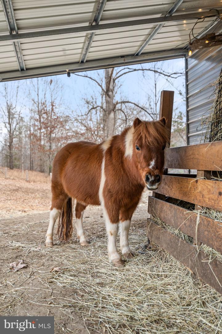 10211 LAUREL RDG, CULPEPER, Virginia 22701, 3 Bedrooms Bedrooms, ,2 BathroomsBathrooms,Residential,For sale,10211 LAUREL RDG,VACU2012442 MLS # VACU2012442