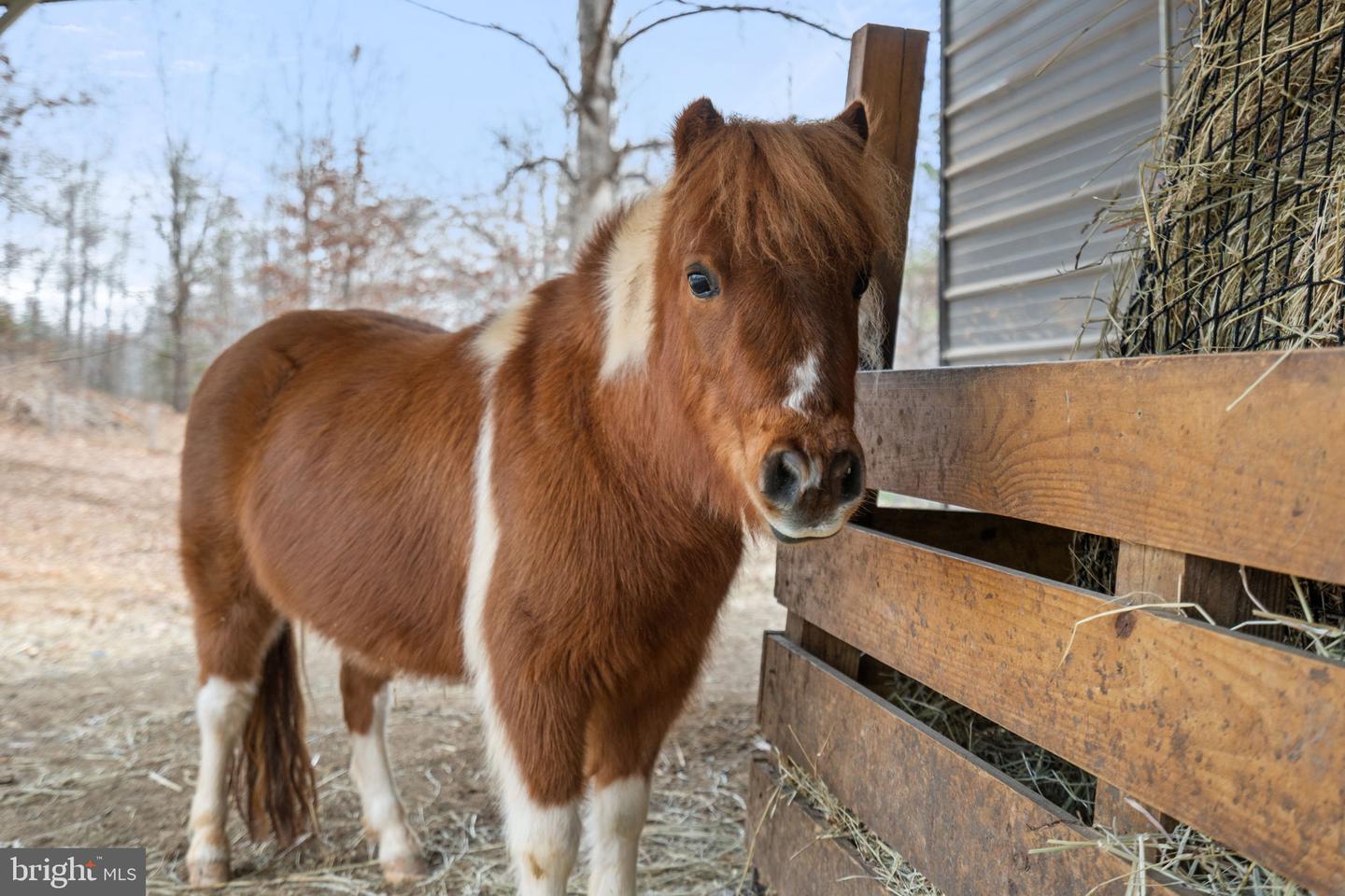 10211 LAUREL RDG, CULPEPER, Virginia 22701, 3 Bedrooms Bedrooms, ,2 BathroomsBathrooms,Residential,For sale,10211 LAUREL RDG,VACU2012442 MLS # VACU2012442