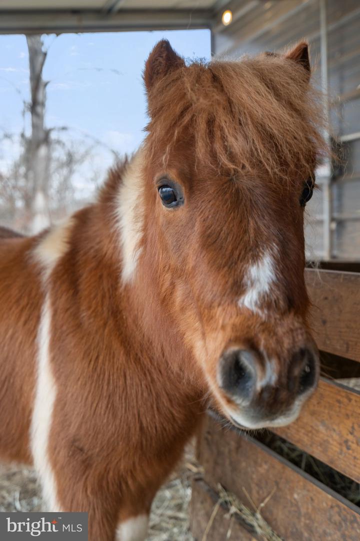 10211 LAUREL RDG, CULPEPER, Virginia 22701, 3 Bedrooms Bedrooms, ,2 BathroomsBathrooms,Residential,For sale,10211 LAUREL RDG,VACU2012442 MLS # VACU2012442