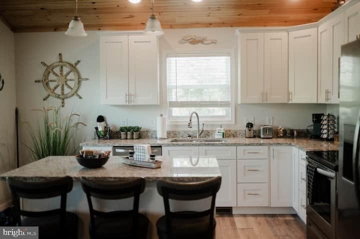 39 & 37 WHISTLE LN, SHENANDOAH, Virginia 22849, 3 Bedrooms Bedrooms, ,2 BathroomsBathrooms,Residential,For sale,39 & 37 WHISTLE LN,VAPA2005904 MLS # VAPA2005904