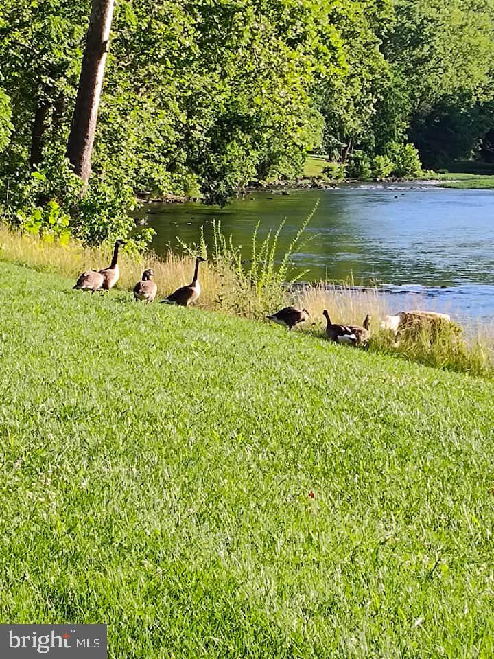 39 & 37 WHISTLE LN, SHENANDOAH, Virginia 22849, 3 Bedrooms Bedrooms, ,2 BathroomsBathrooms,Residential,For sale,39 & 37 WHISTLE LN,VAPA2005904 MLS # VAPA2005904