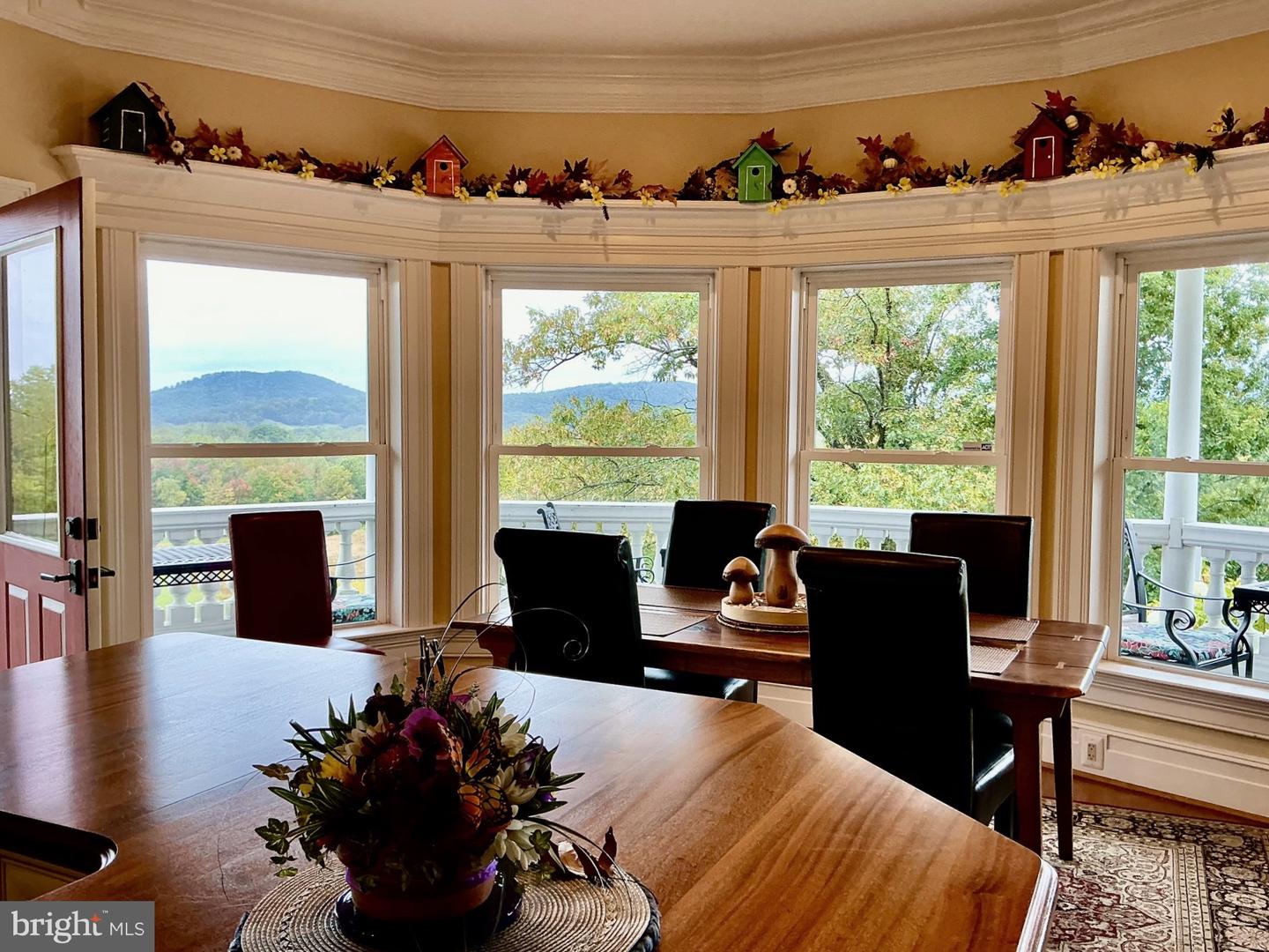 65 CLARK LN, WASHINGTON, Virginia 22747, 6 Bedrooms Bedrooms, ,10 BathroomsBathrooms,Residential,For sale,65 CLARK LN,VARP2002418 MLS # VARP2002418