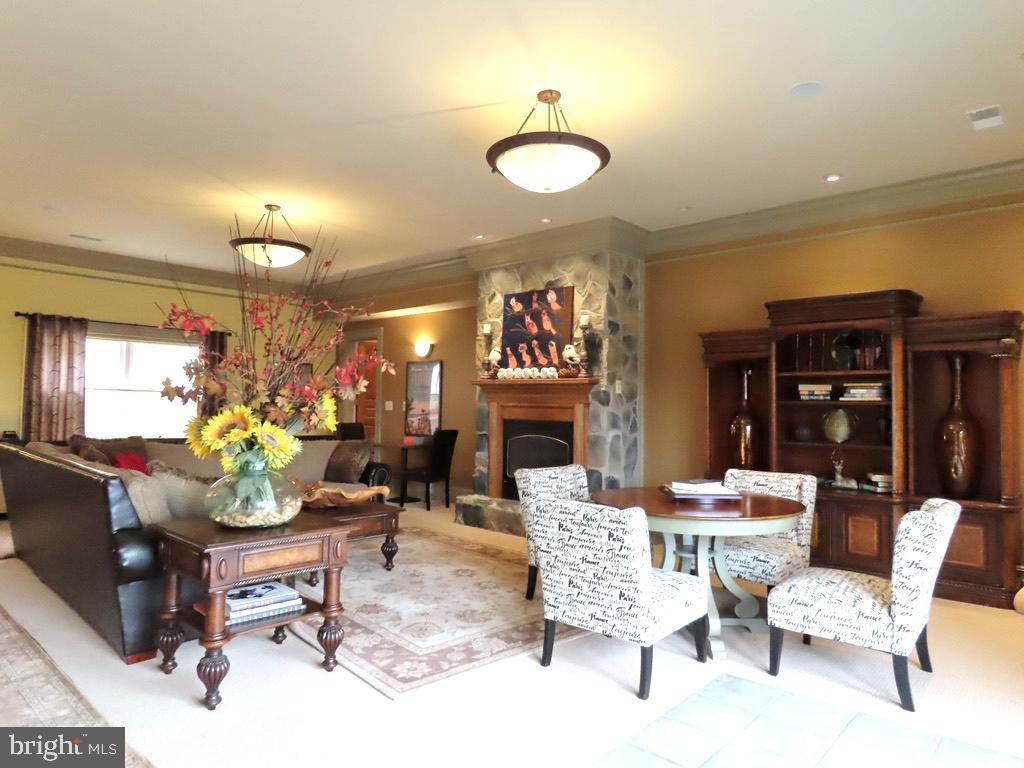 65 CLARK LN, WASHINGTON, Virginia 22747, 6 Bedrooms Bedrooms, ,10 BathroomsBathrooms,Residential,For sale,65 CLARK LN,VARP2002418 MLS # VARP2002418