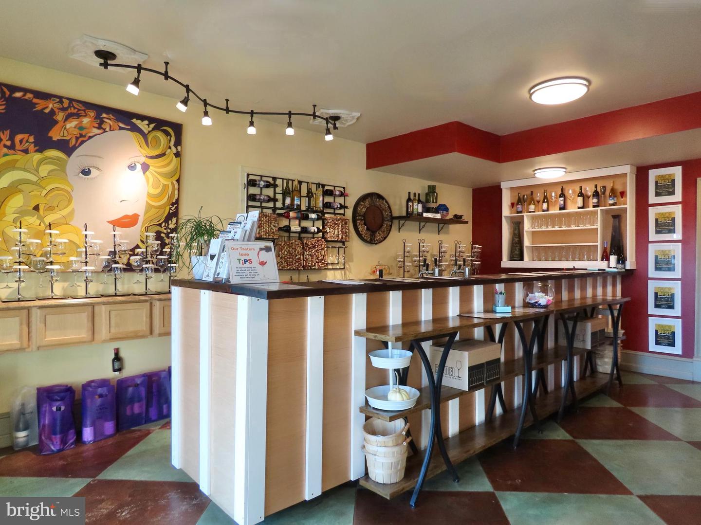 65 CLARK LN, WASHINGTON, Virginia 22747, 6 Bedrooms Bedrooms, ,10 BathroomsBathrooms,Residential,For sale,65 CLARK LN,VARP2002418 MLS # VARP2002418