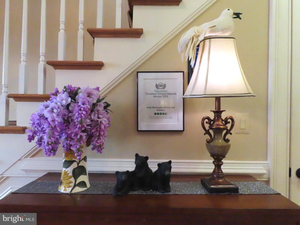 65 CLARK LN, WASHINGTON, Virginia 22747, 6 Bedrooms Bedrooms, ,10 BathroomsBathrooms,Residential,For sale,65 CLARK LN,VARP2002418 MLS # VARP2002418