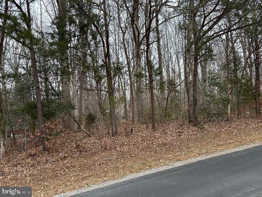 LOTS 1126 AND 1127 NOTTINGHAM /ASH RD, LOUISA, Virginia 23093, ,Land,For sale,LOTS 1126 AND 1127 NOTTINGHAM /ASH RD,VALA2009164 MLS # VALA2009164