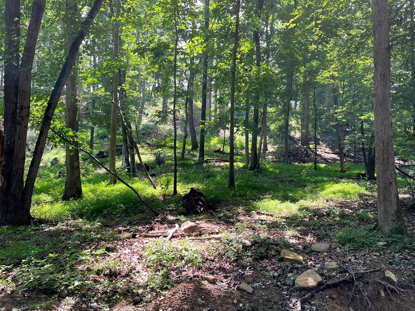 12 GALLOWAY SPRING LN, SHENANDOAH, Virginia 22849, ,Land,12 GALLOWAY SPRING LN,672581 MLS # 672581 12 GALLOWAY SPRING LN, SHENANDOAH, Virginia 22849, ,Land,12 GALLOWAY SPRING LN,672581 MLS # 672581