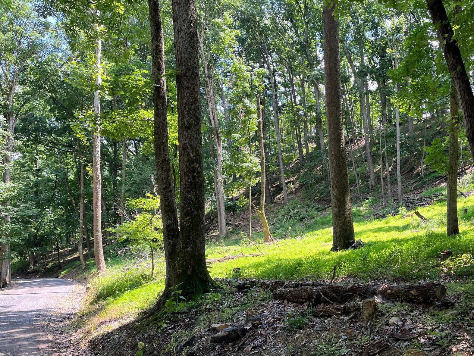 12 GALLOWAY SPRING LN, SHENANDOAH, Virginia 22849, ,Land,12 GALLOWAY SPRING LN,672581 MLS # 672581 12 GALLOWAY SPRING LN, SHENANDOAH, Virginia 22849, ,Land,12 GALLOWAY SPRING LN,672581 MLS # 672581