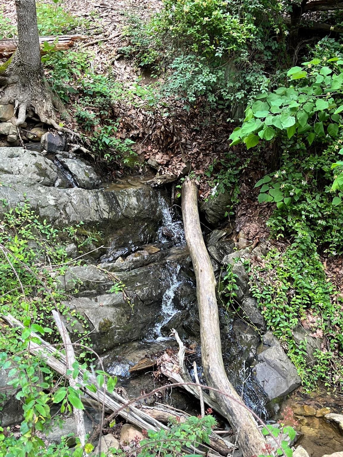 12 GALLOWAY SPRING LN, SHENANDOAH, Virginia 22849, ,Land,12 GALLOWAY SPRING LN,672581 MLS # 672581 12 GALLOWAY SPRING LN, SHENANDOAH, Virginia 22849, ,Land,12 GALLOWAY SPRING LN,672581 MLS # 672581