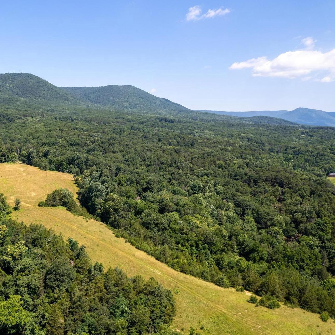 12 GALLOWAY SPRING LN, SHENANDOAH, Virginia 22849, ,Land,12 GALLOWAY SPRING LN,672581 MLS # 672581 12 GALLOWAY SPRING LN, SHENANDOAH, Virginia 22849, ,Land,12 GALLOWAY SPRING LN,672581 MLS # 672581