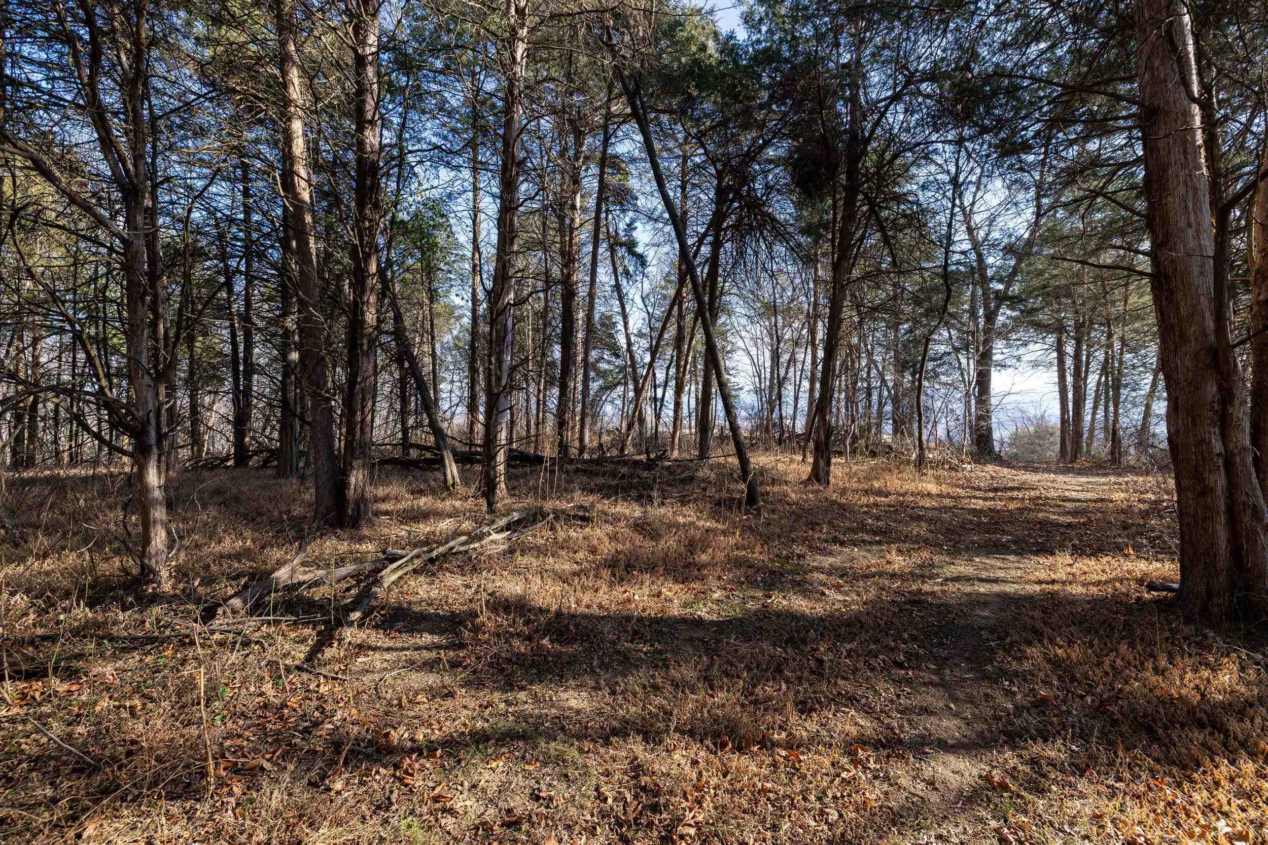 Lot 8 PROMISE LN, STANLEY, Virginia 22851, ,Land,Lot 8 PROMISE LN,672583 MLS # 672583