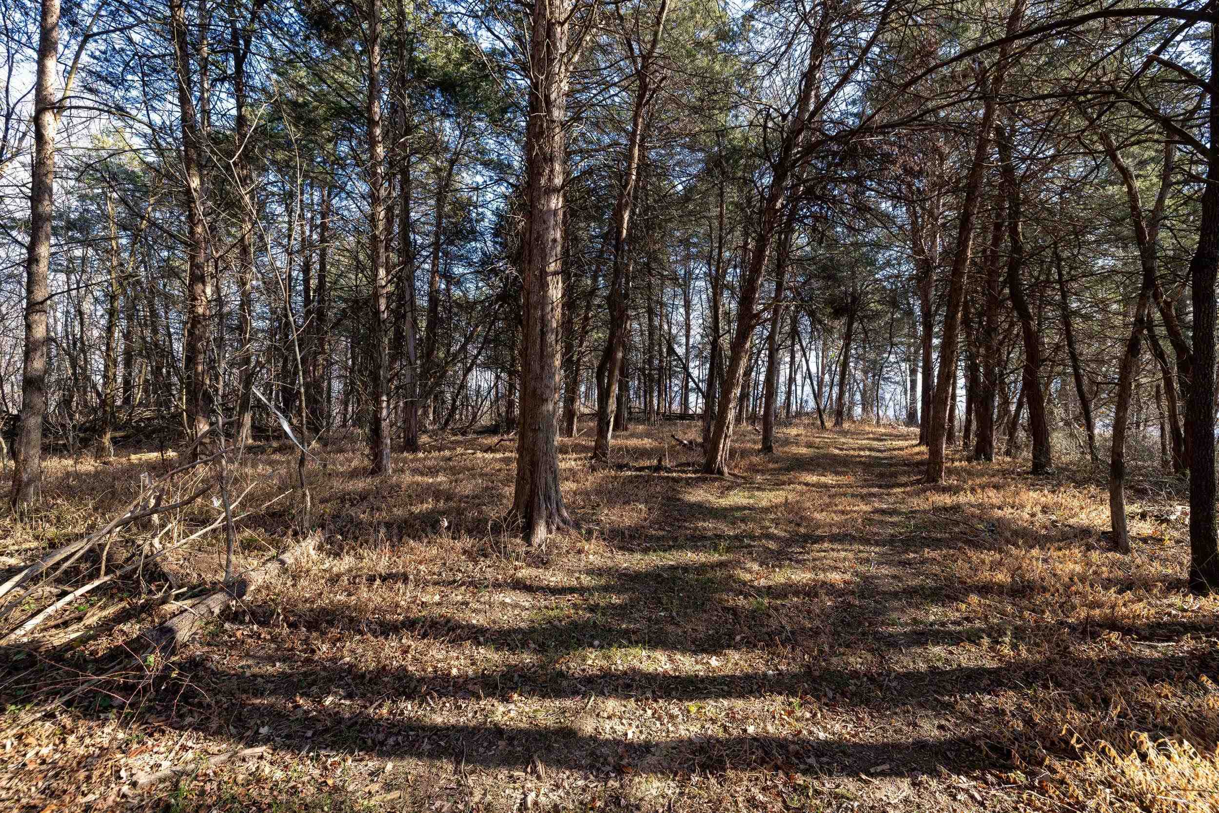 Lot 8 PROMISE LN, STANLEY, Virginia 22851, ,Land,Lot 8 PROMISE LN,672583 MLS # 672583