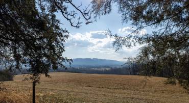 Lot 8 PROMISE LN, STANLEY, Virginia 22851, ,Land,Lot 8 PROMISE LN,672583 MLS # 672583