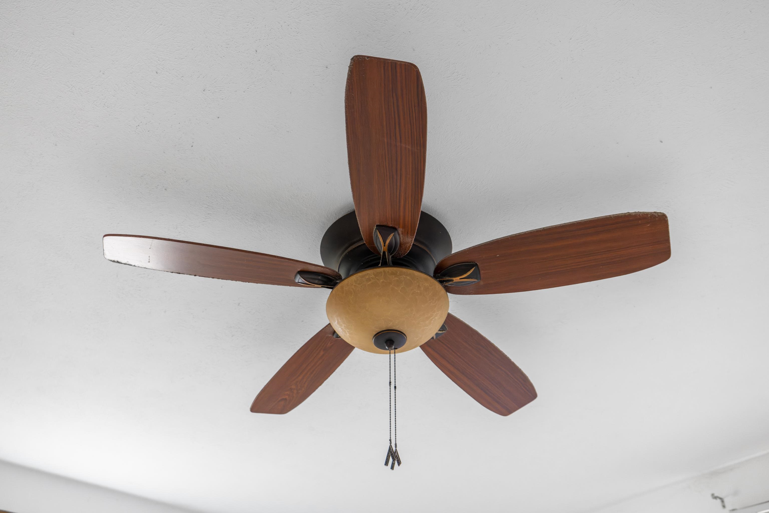 1340 B ST, WAYNESBORO, Virginia 22980, 2 Bedrooms Bedrooms, ,1 BathroomBathrooms,Residential,1340 B ST,672579 MLS # 672579