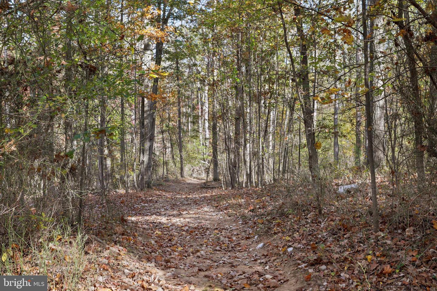 96 CASTLE MOUNTAIN RD, CASTLETON, Virginia 22716, 4 Bedrooms Bedrooms, ,3 BathroomsBathrooms,Residential,For sale,96 CASTLE MOUNTAIN RD,VARP2002460 MLS # VARP2002460