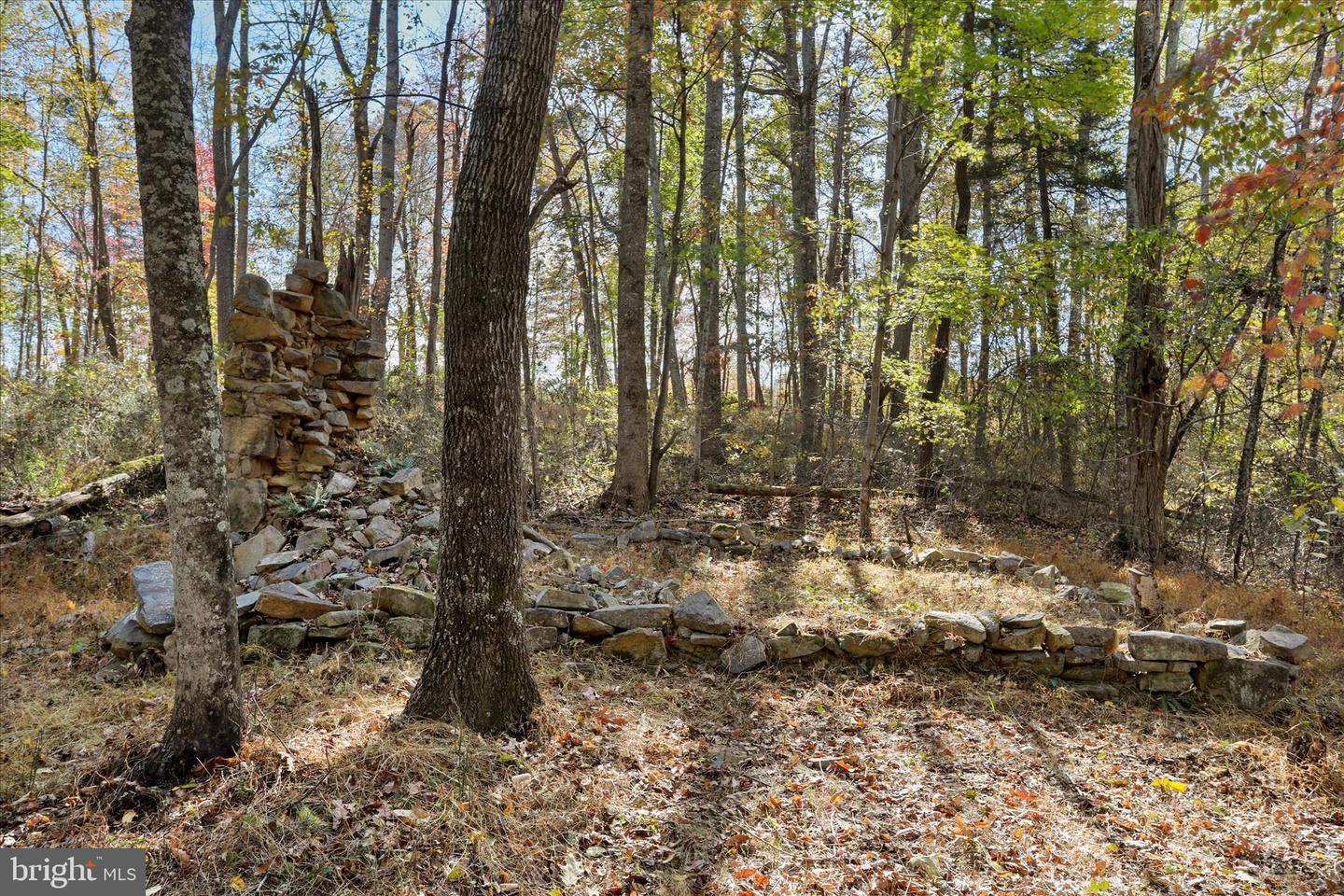 96 CASTLE MOUNTAIN RD, CASTLETON, Virginia 22716, 4 Bedrooms Bedrooms, ,3 BathroomsBathrooms,Residential,For sale,96 CASTLE MOUNTAIN RD,VARP2002460 MLS # VARP2002460