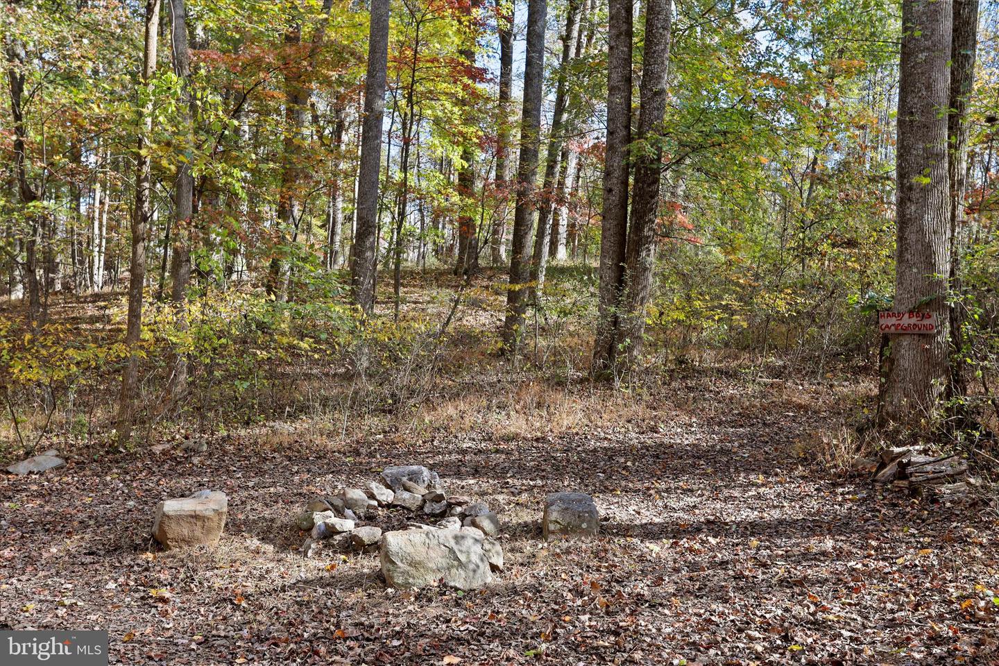 96 CASTLE MOUNTAIN RD, CASTLETON, Virginia 22716, 4 Bedrooms Bedrooms, ,3 BathroomsBathrooms,Residential,For sale,96 CASTLE MOUNTAIN RD,VARP2002460 MLS # VARP2002460