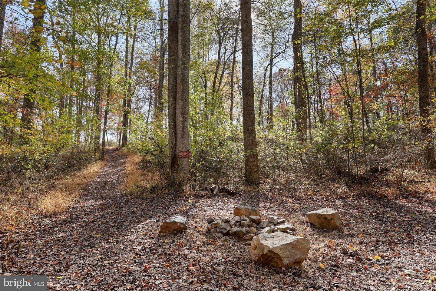 96 CASTLE MOUNTAIN RD, CASTLETON, Virginia 22716, 4 Bedrooms Bedrooms, ,3 BathroomsBathrooms,Residential,For sale,96 CASTLE MOUNTAIN RD,VARP2002460 MLS # VARP2002460