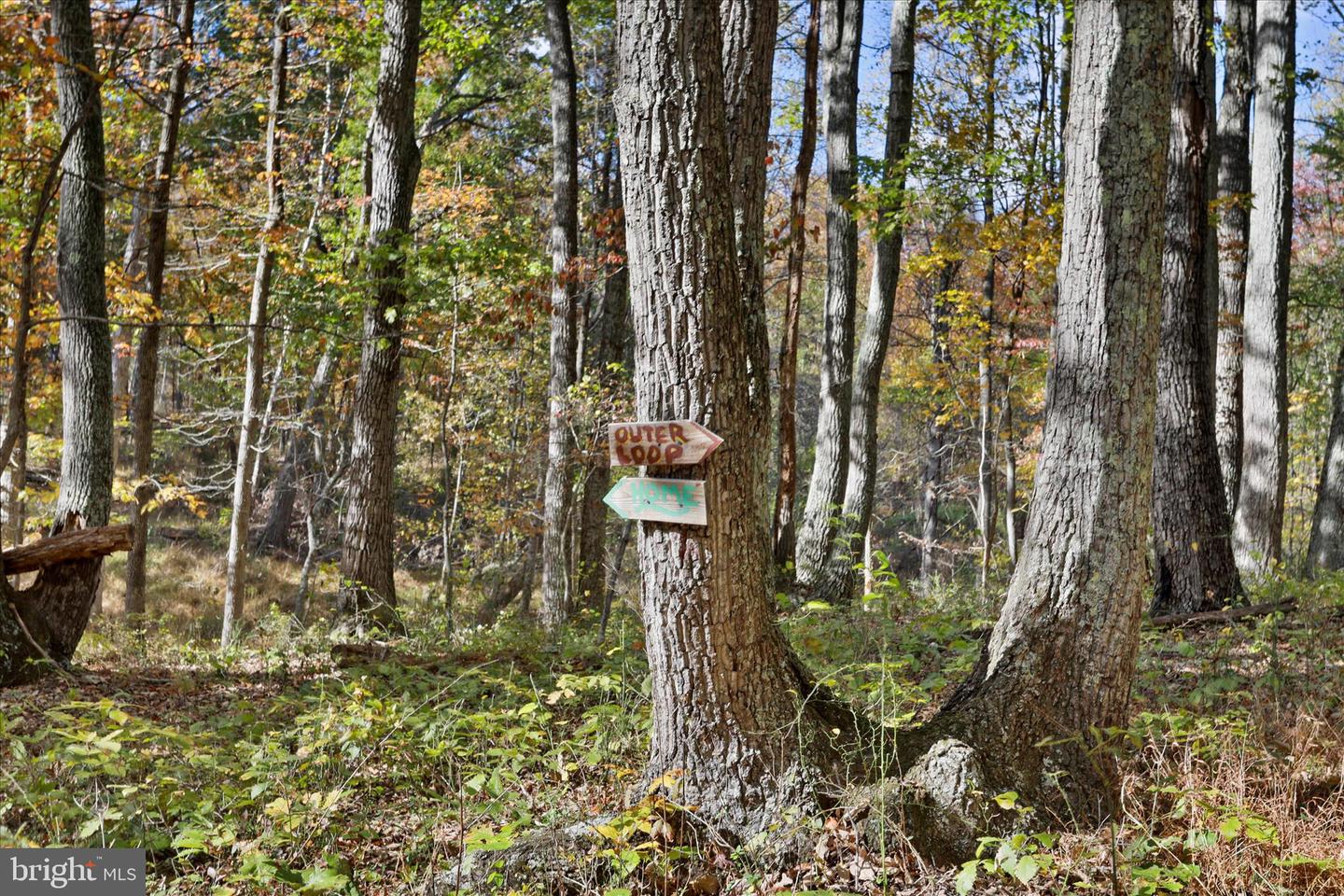 96 CASTLE MOUNTAIN RD, CASTLETON, Virginia 22716, 4 Bedrooms Bedrooms, ,3 BathroomsBathrooms,Residential,For sale,96 CASTLE MOUNTAIN RD,VARP2002460 MLS # VARP2002460