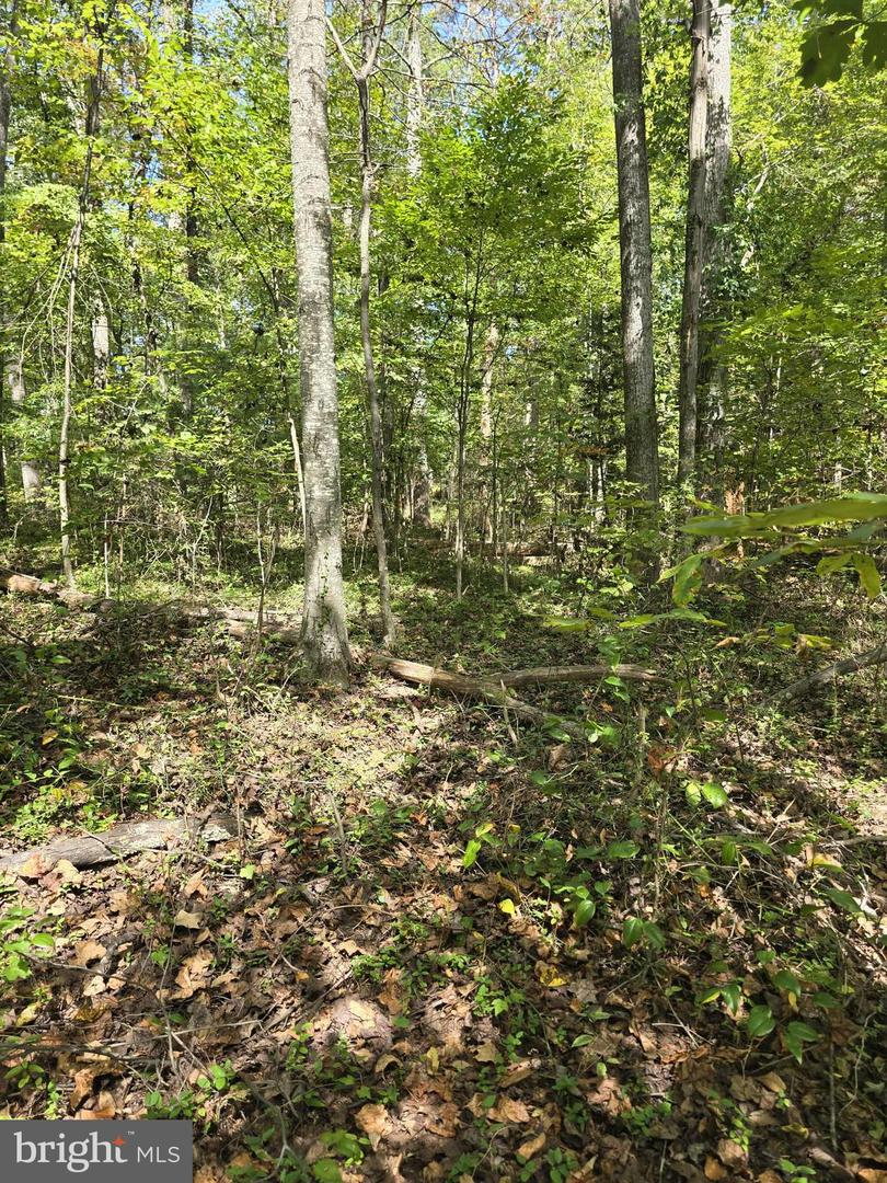 POORHOUSE RD, MADISON, Virginia 22727, ,Land,For sale,POORHOUSE RD,VAMA2002480 MLS # VAMA2002480