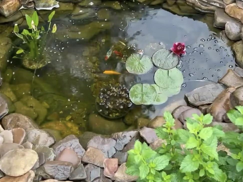 1198 SPAULDING ST, STAUNTON, Virginia 24401, 3 Bedrooms Bedrooms, ,1 BathroomBathrooms,Residential,1198 SPAULDING ST,672585 MLS # 672585