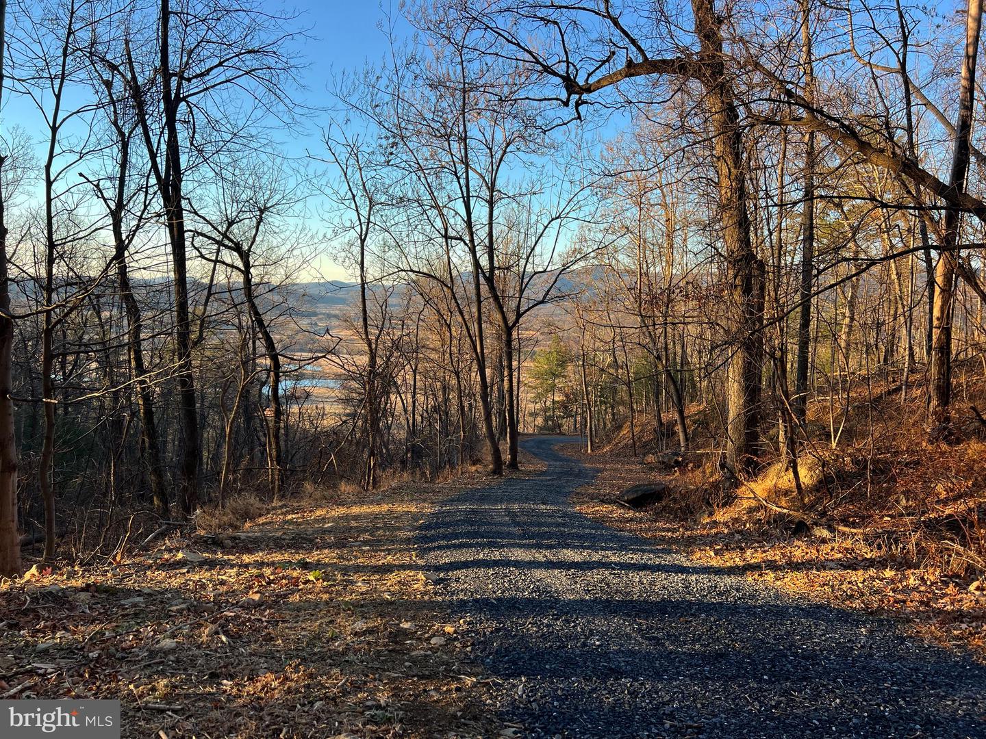 REDIVIVA LN, WASHINGTON, Virginia 22747, ,Farm,For sale,REDIVIVA LN,VARP2002462 MLS # VARP2002462