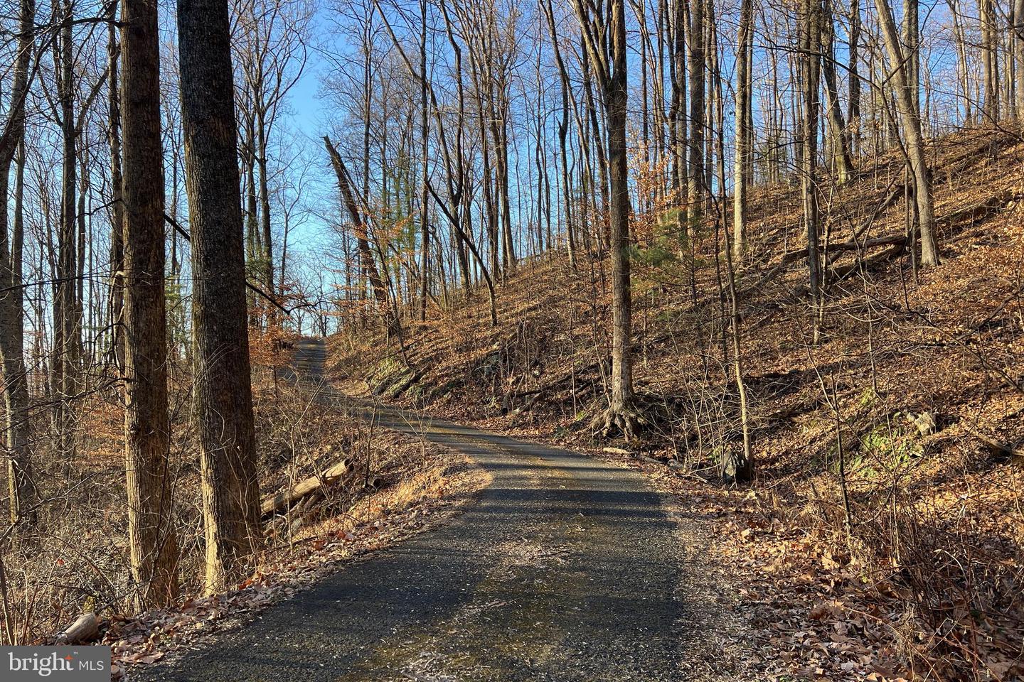 REDIVIVA LN, WASHINGTON, Virginia 22747, ,Farm,For sale,REDIVIVA LN,VARP2002462 MLS # VARP2002462