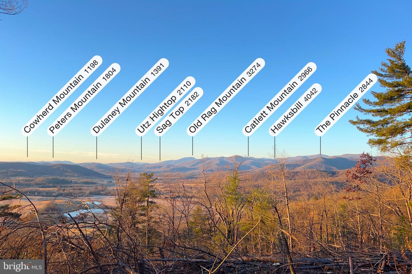 REDIVIVA LN, WASHINGTON, Virginia 22747, ,Farm,For sale,REDIVIVA LN,VARP2002462 MLS # VARP2002462