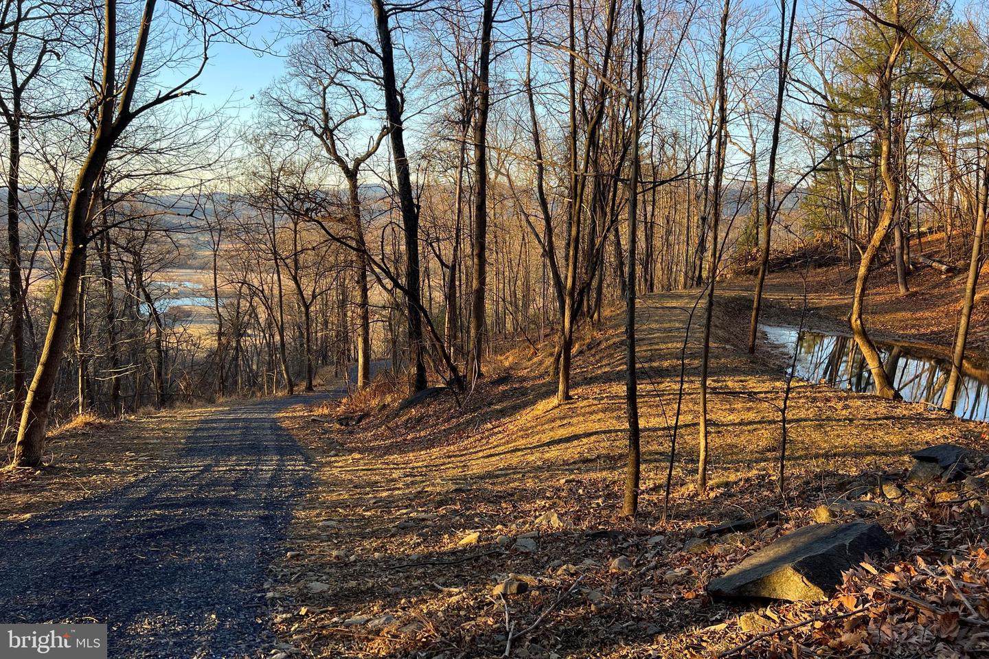 REDIVIVA LN, WASHINGTON, Virginia 22747, ,Farm,For sale,REDIVIVA LN,VARP2002462 MLS # VARP2002462