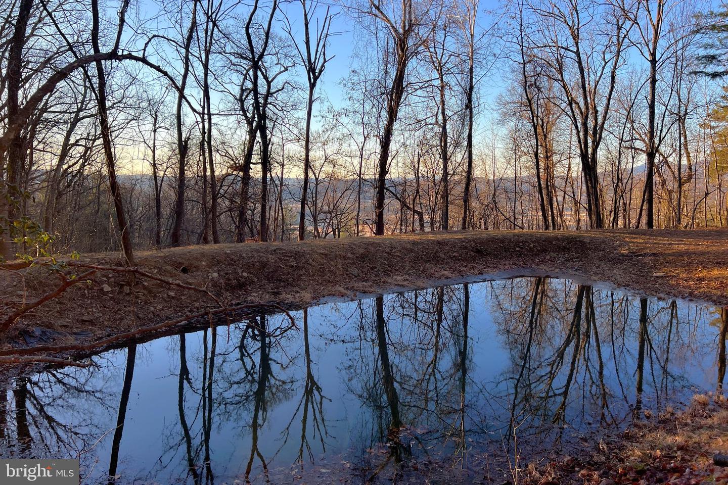 REDIVIVA LN, WASHINGTON, Virginia 22747, ,Farm,For sale,REDIVIVA LN,VARP2002462 MLS # VARP2002462