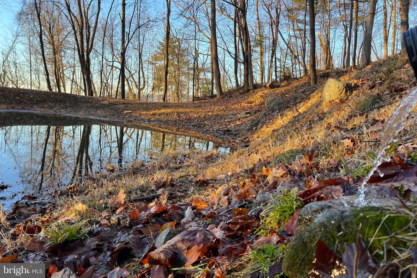 REDIVIVA LN, WASHINGTON, Virginia 22747, ,Farm,For sale,REDIVIVA LN,VARP2002462 MLS # VARP2002462