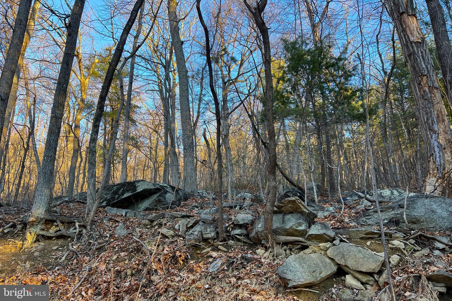 REDIVIVA LN, WASHINGTON, Virginia 22747, ,Farm,For sale,REDIVIVA LN,VARP2002462 MLS # VARP2002462