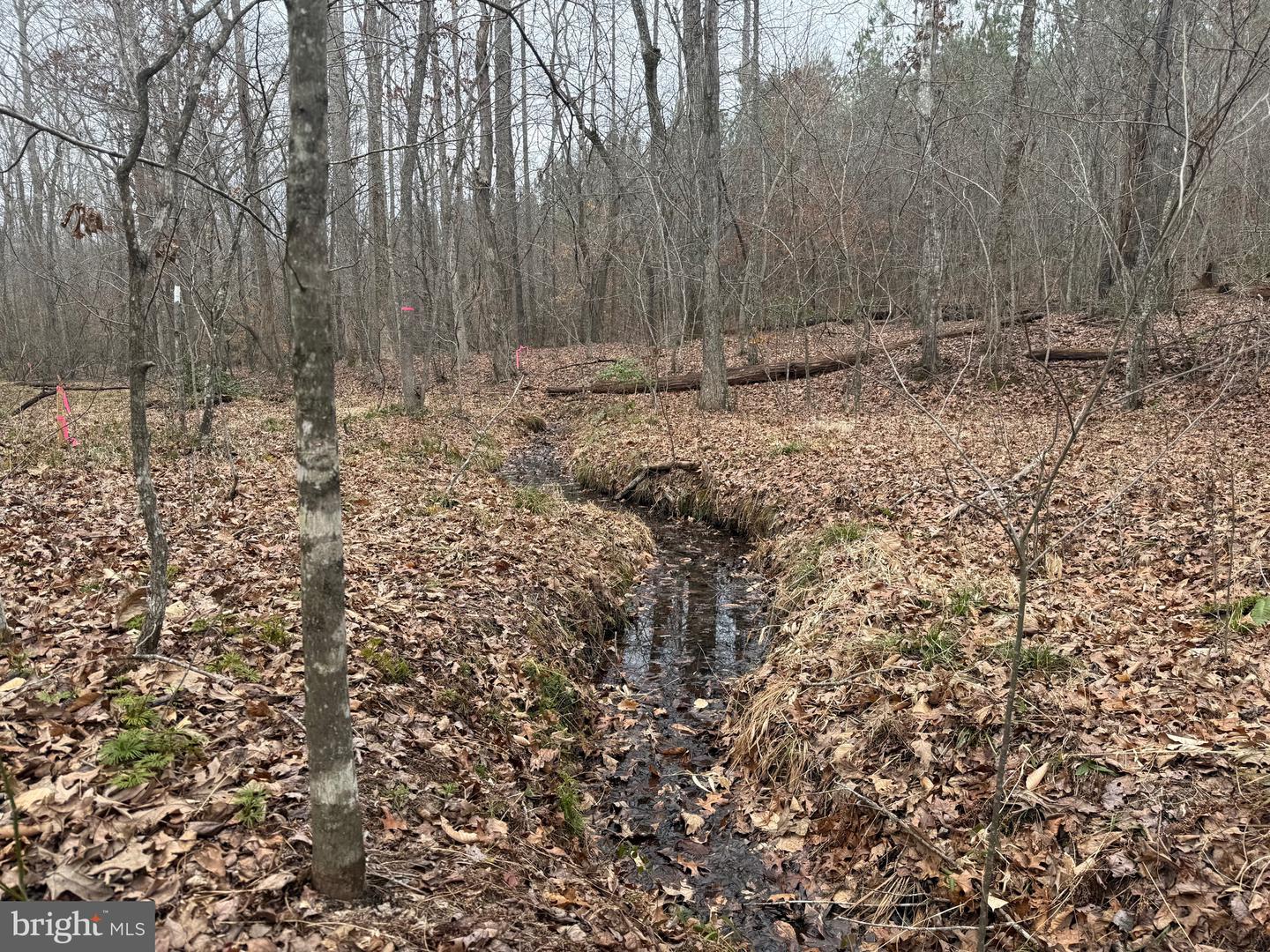 LOT C2 HARDWARE RD, ARVONIA, Virginia 23004, ,Land,For sale,LOT C2 HARDWARE RD,VABH2000252 MLS # VABH2000252