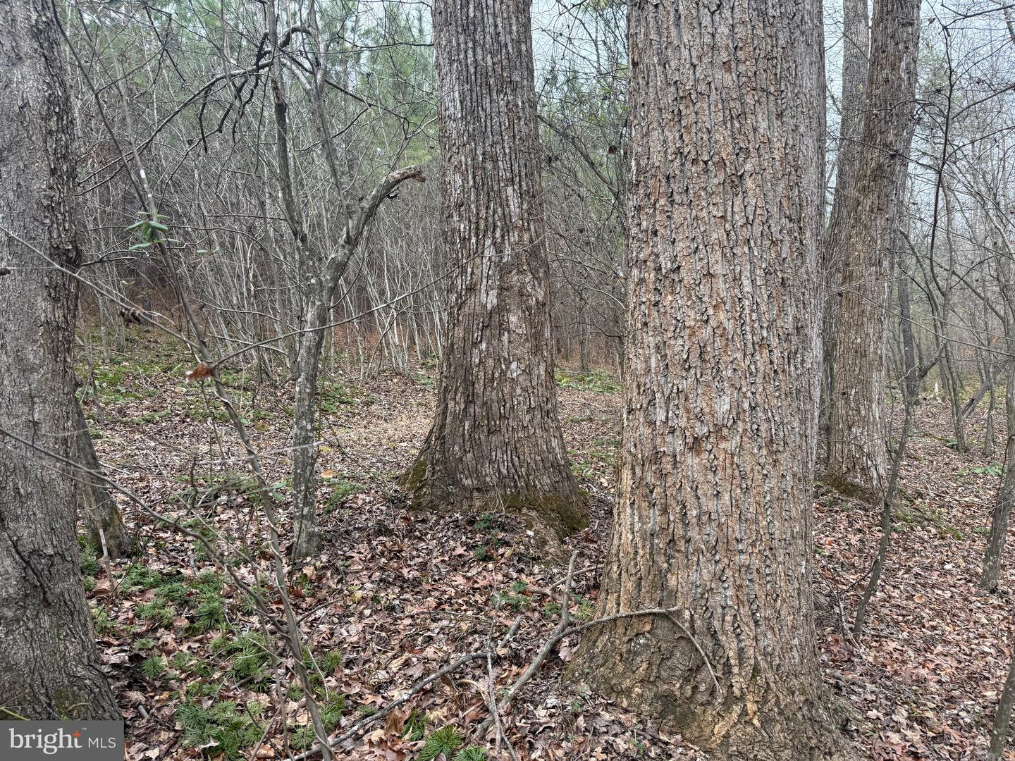 LOT C2 HARDWARE RD, ARVONIA, Virginia 23004, ,Land,For sale,LOT C2 HARDWARE RD,VABH2000252 MLS # VABH2000252