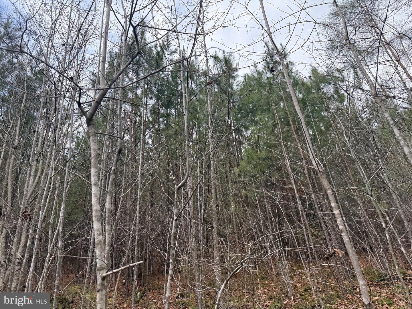 LOT C2 HARDWARE RD, ARVONIA, Virginia 23004, ,Land,For sale,LOT C2 HARDWARE RD,VABH2000252 MLS # VABH2000252