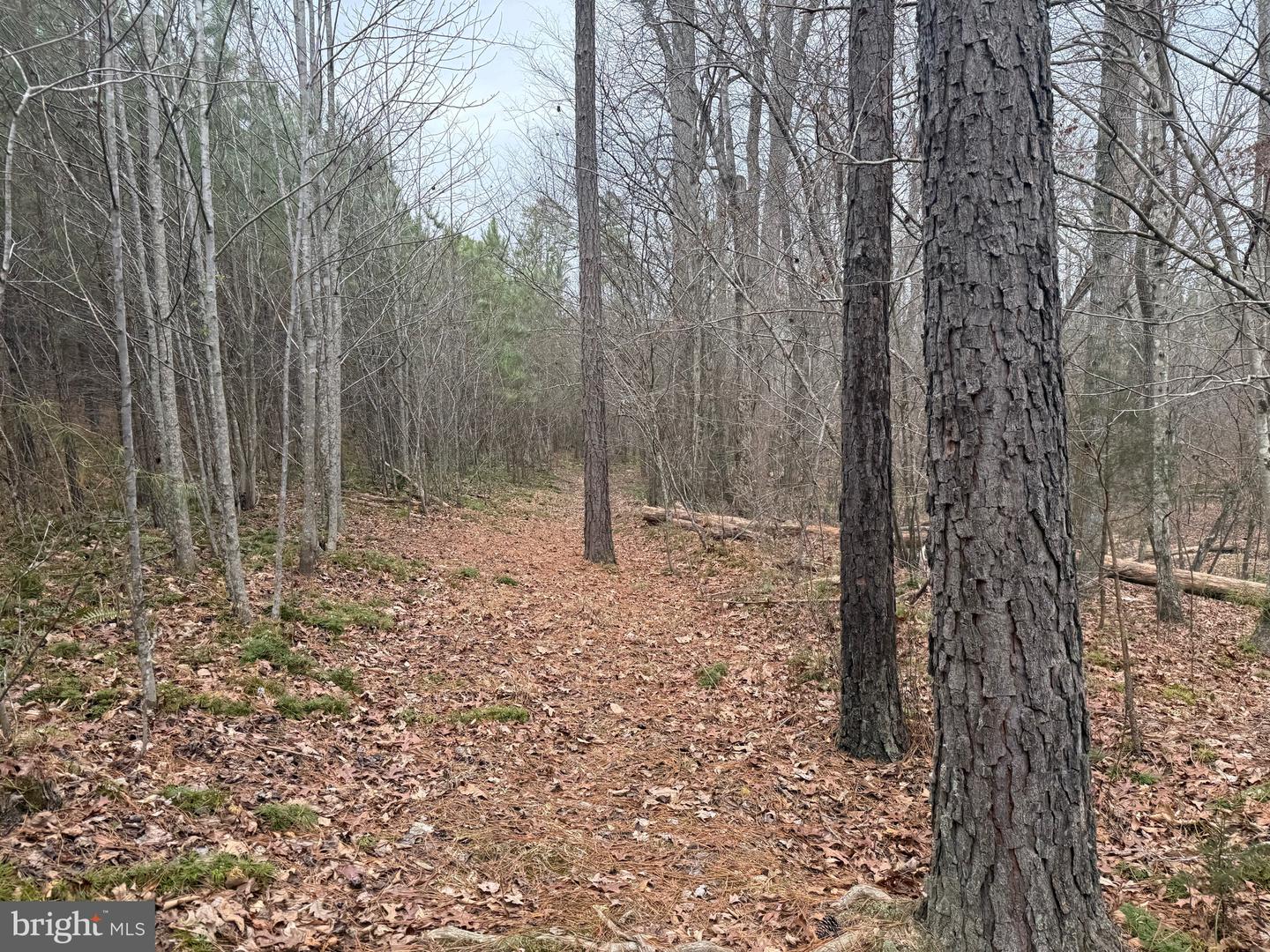 LOT C3 HARDWARE RD, ARVONIA, Virginia 23004, ,Land,For sale,LOT C3 HARDWARE RD,VABH2000254 MLS # VABH2000254 LOT C3 HARDWARE RD, ARVONIA, Virginia 23004, ,Land,For sale,LOT C3 HARDWARE RD,VABH2000254 MLS # VABH2000254